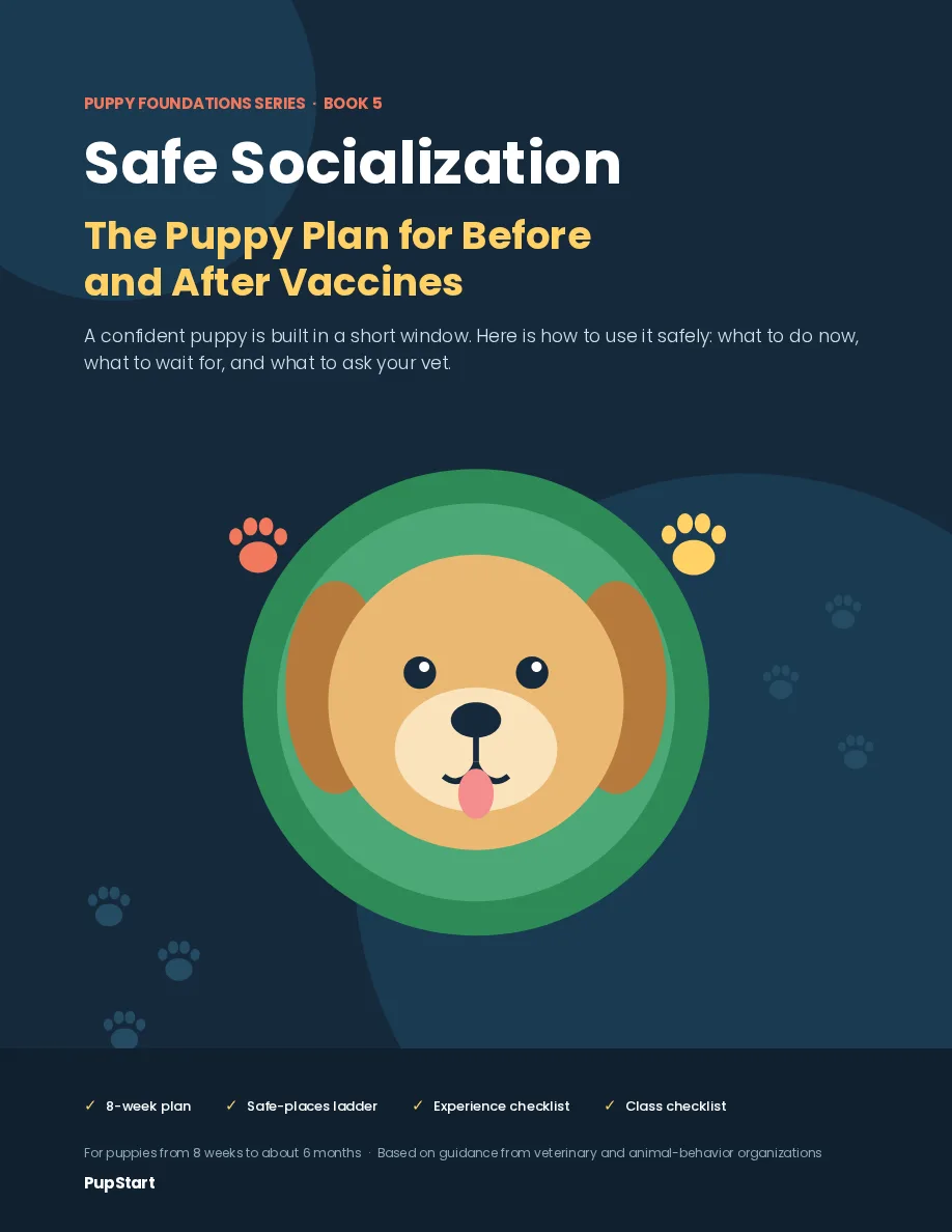 Safe Socialization preview page: Cover